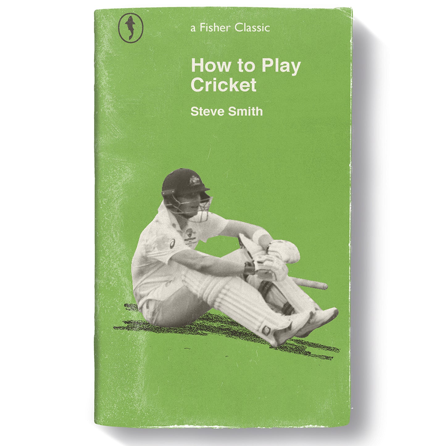 How to Play Cricket